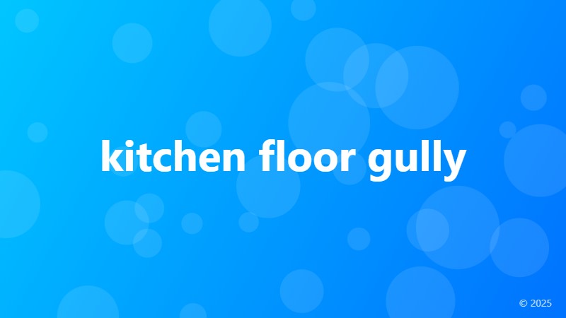 kitchen floor gully